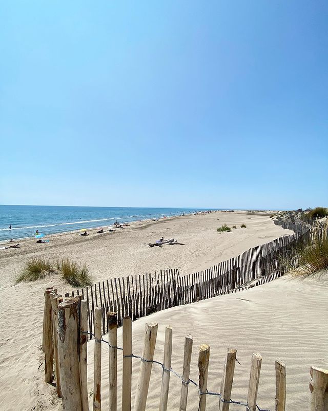 Nice France Nude Beach bush pov