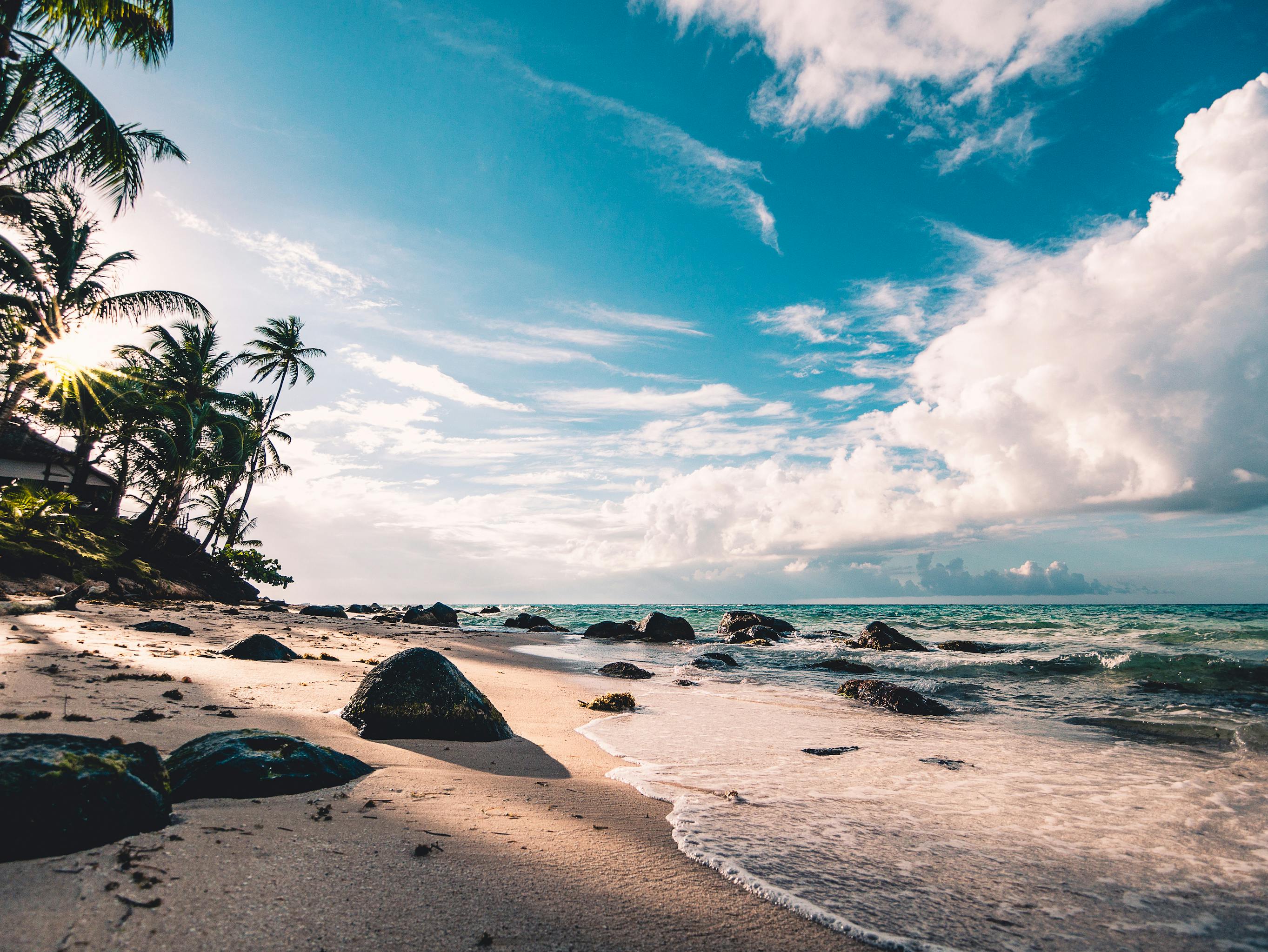 brian john field recommends beautiful beach girls tumblr pic