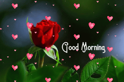 azizah husain recommends morning love gif pic