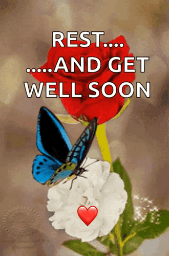 charles mano recommends get well soon gifs pic