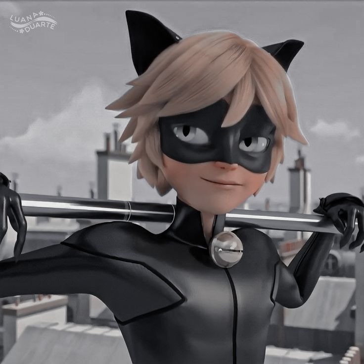 Best of Chat noir pictures