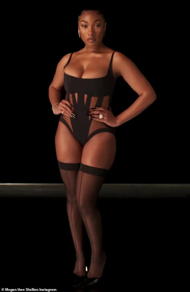 alvin de la pena recommends megan thee stallion pantyhose pic