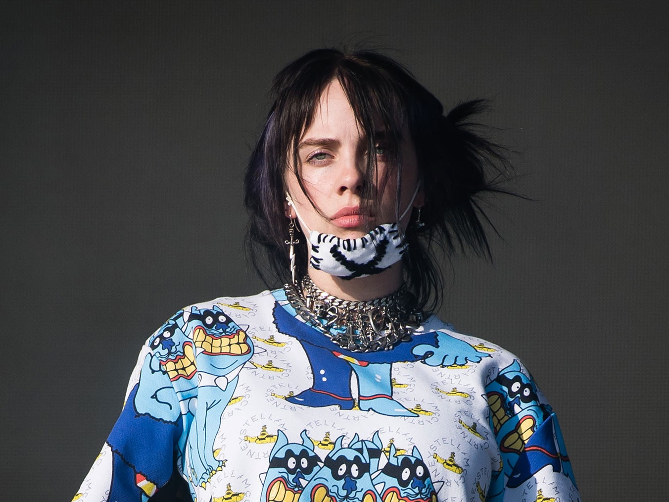 catherine ramirez recommends Billie Eilish Fakes