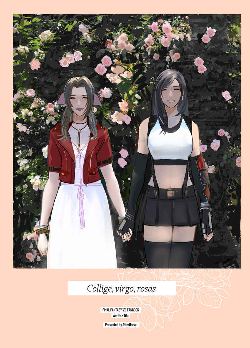 Best of Tifa x aerith