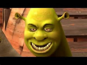 what are you doing in my swamp remix