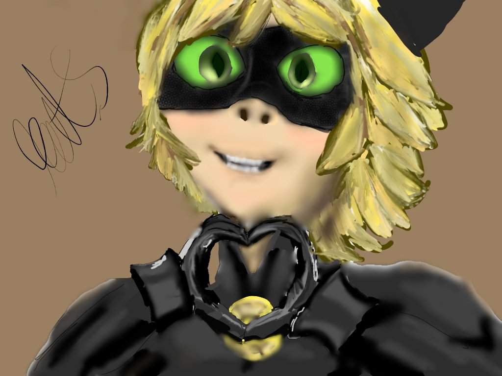 chat noir pictures