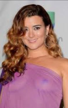 anupam roychowdhury recommends cote de pablo cameltoe pic