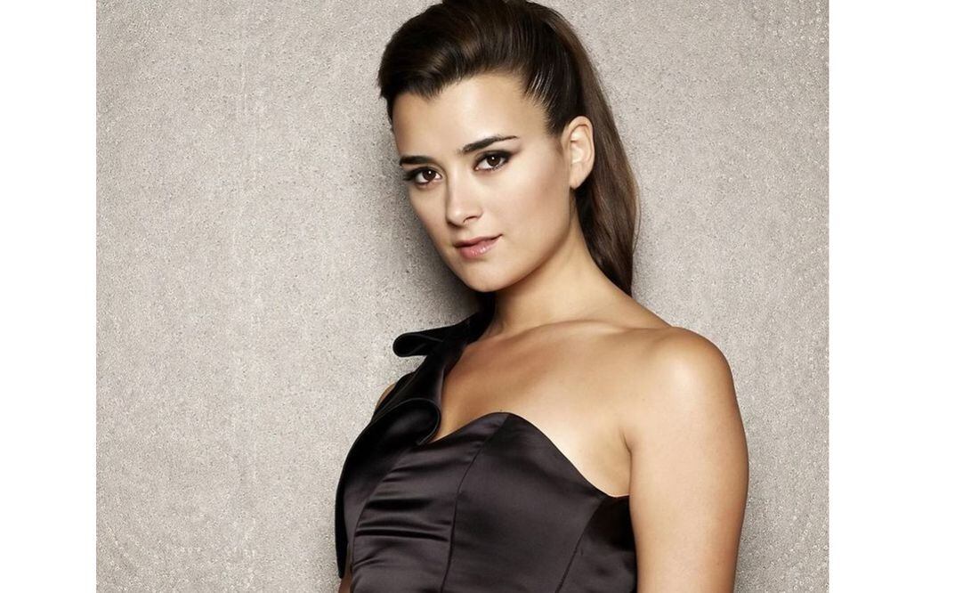 Cote De Pablo Cleavage grind pussies