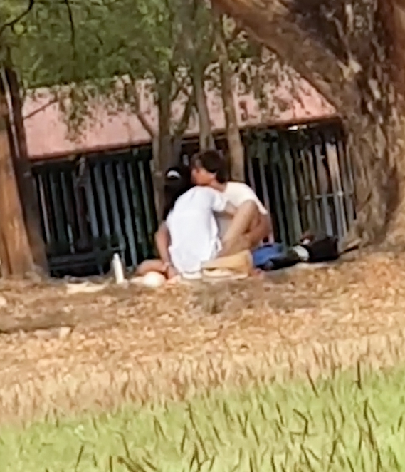 Best of Couple having sex in park