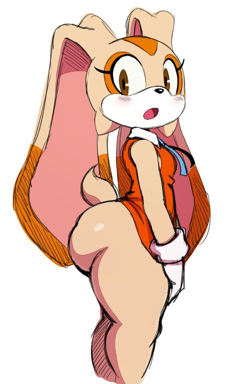 Cream The Rabbit Rule34 midget national