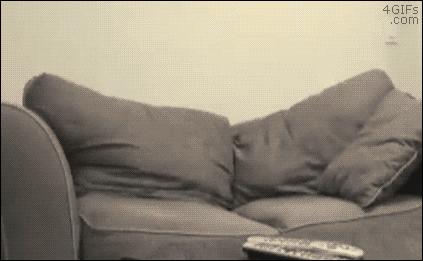 brenda copeland recommends cuddling on the couch gif pic