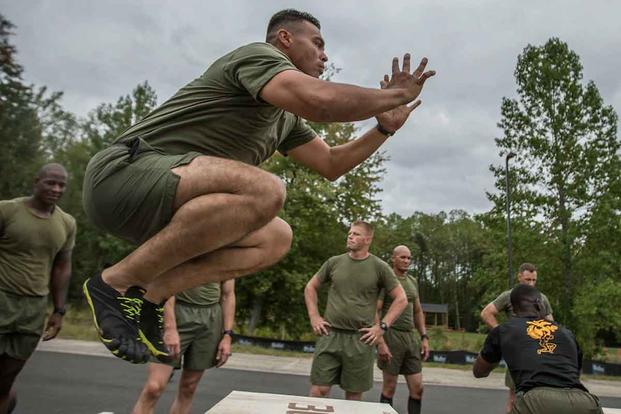 coralee mitchell recommends New Usmc Pt Uniform