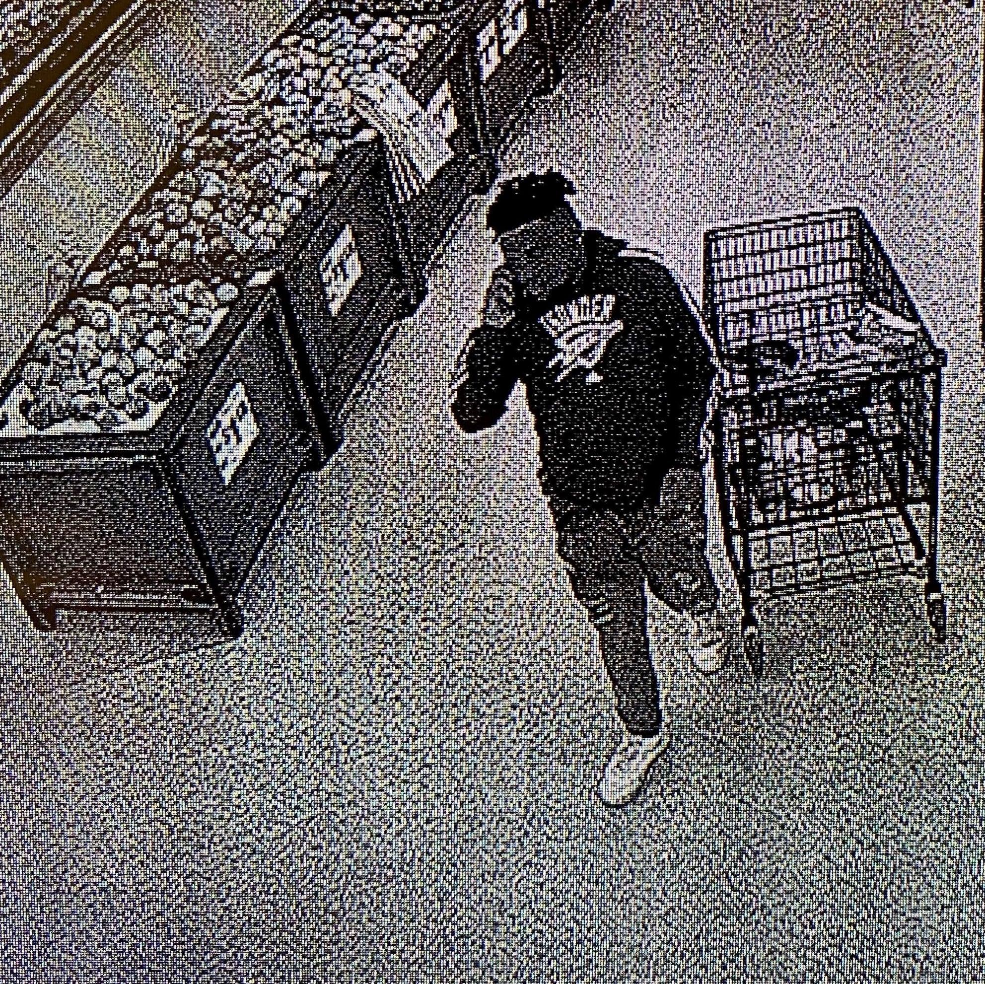 a ra cho share pooping in grocery store photos