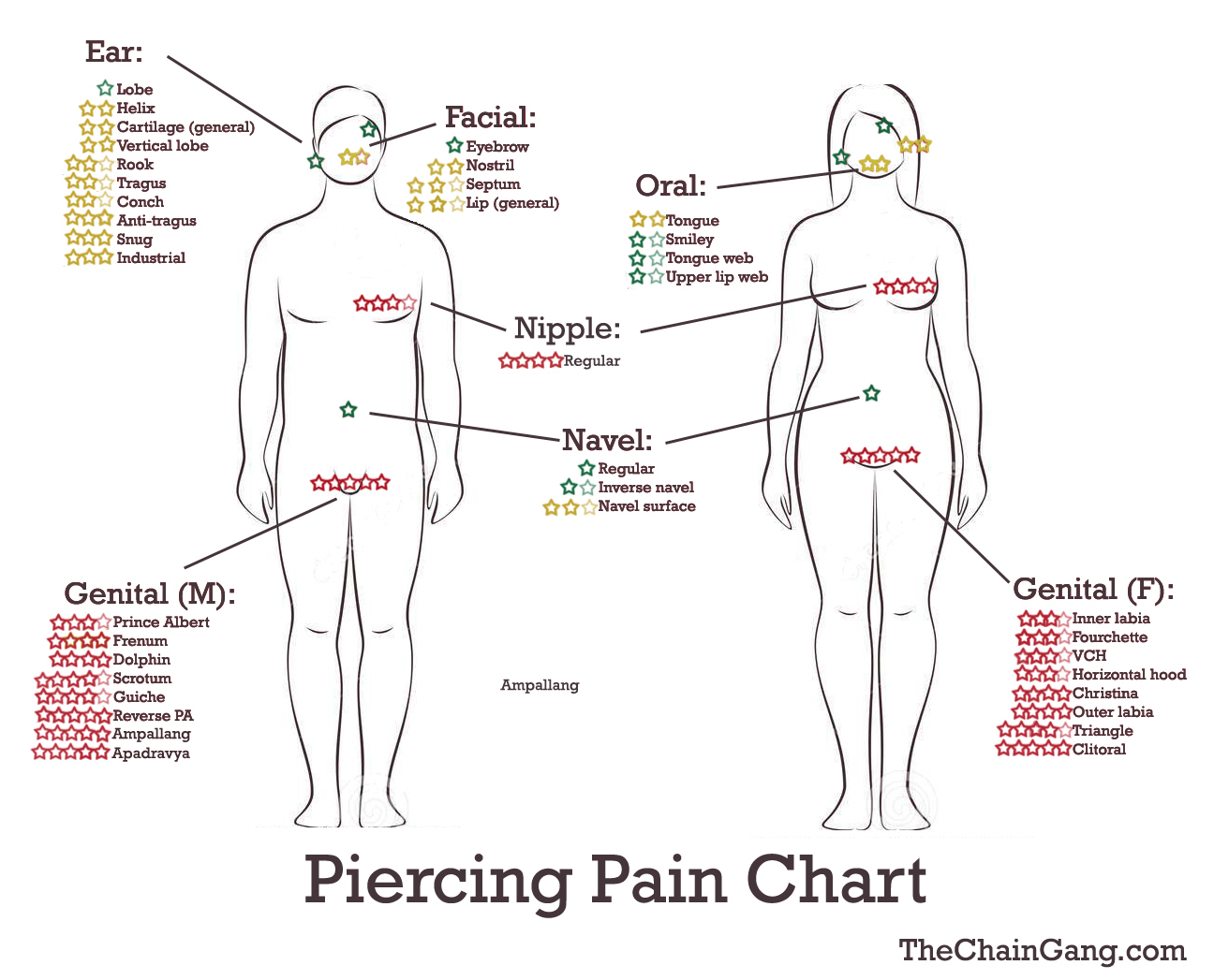 adrian socaciu recommends clit piercing does it hurt pic