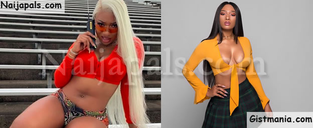 cathie winters add photo megan thee stallion nip slip