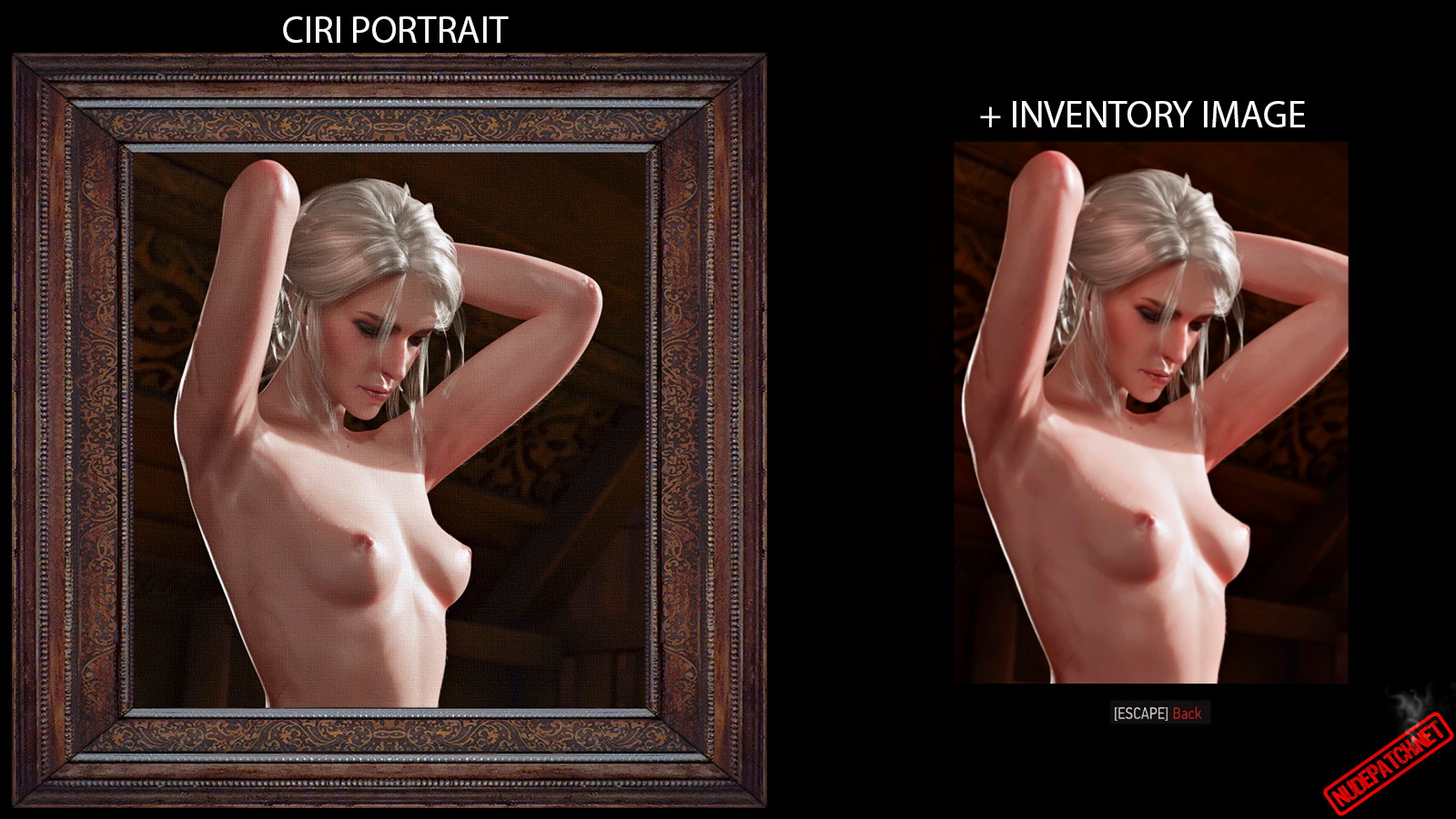 dennis cone recommends Witcher 3 Ciri Topless