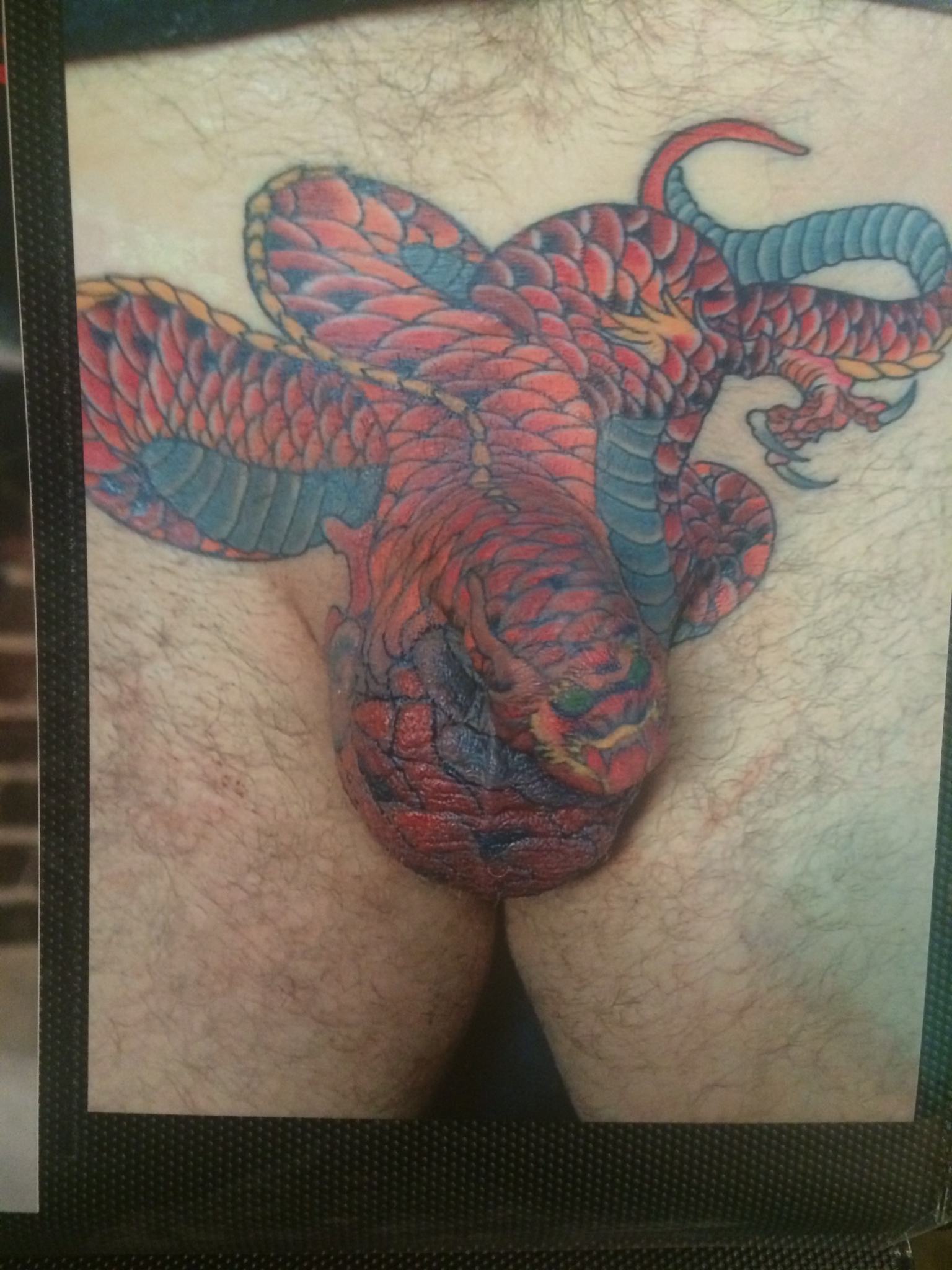 bart mangum share dragon tatoo on penis photos