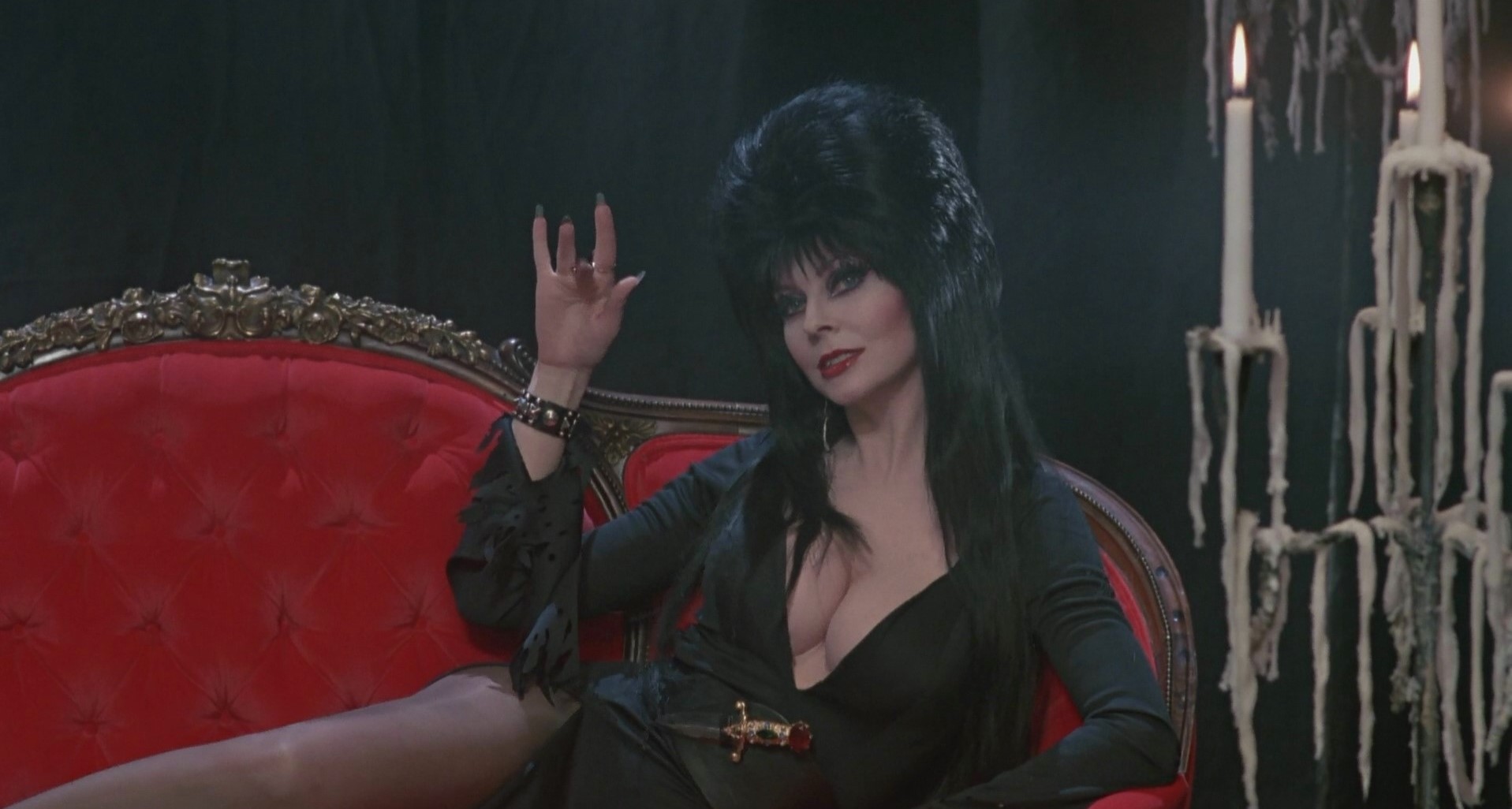 danny stlawrence recommends Pictures Of Elvira Mistress Of The Dark