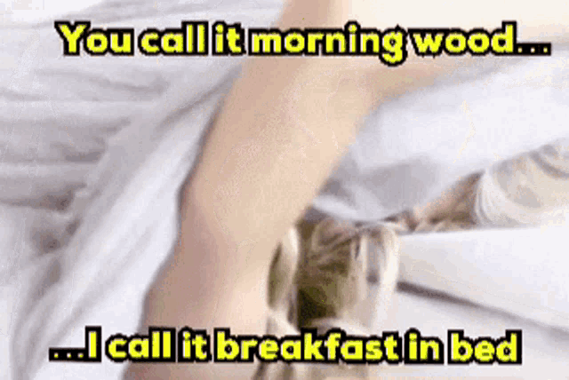 david rogge recommends good morning wood tumblr pic