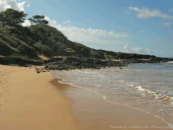 aeric norman recommends little beach maui photos pic