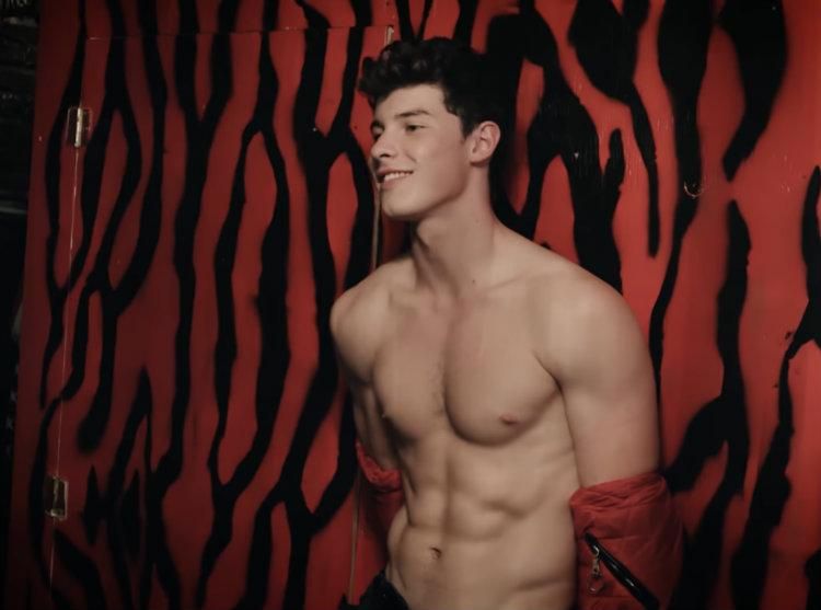 shawn mendes porn