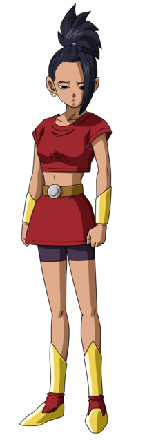 Best of Dragon ball z female characters