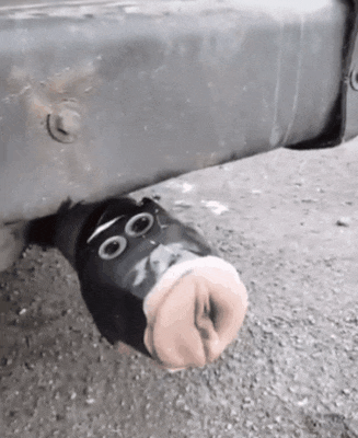 diana mcgriff add fleshlight in a tailpipe photo