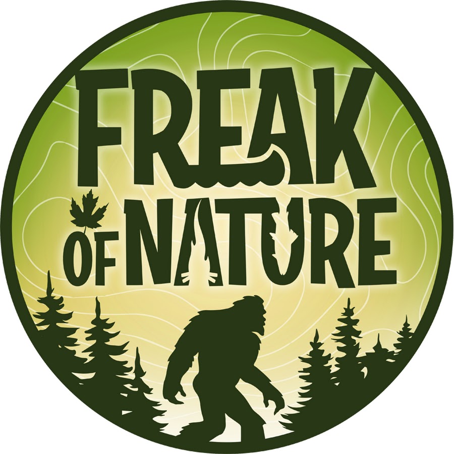 angellica campenelli recommends freaks of nature tubes pic