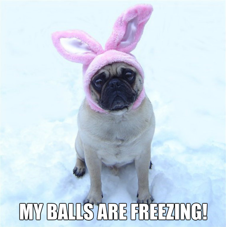 crystal lees add freezing my balls off meme photo