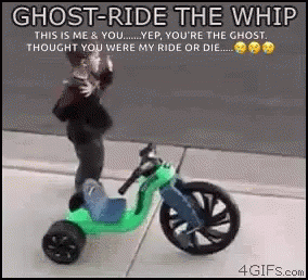 barbie cheng add ghost ride the whip gif photo