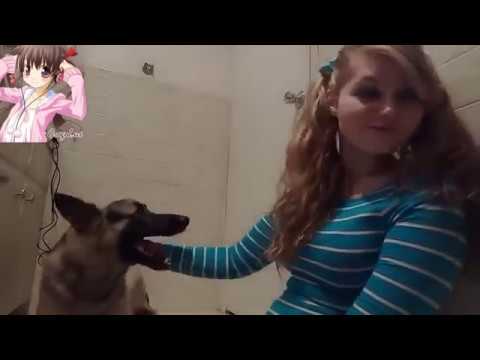 ashley wilson smith recommends girl who fucks dogs pic