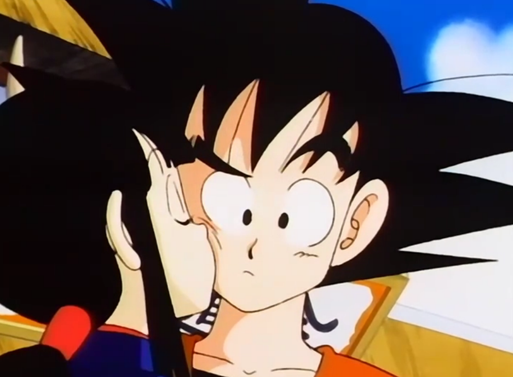 ayaan raza recommends goku having sex with chichi pic