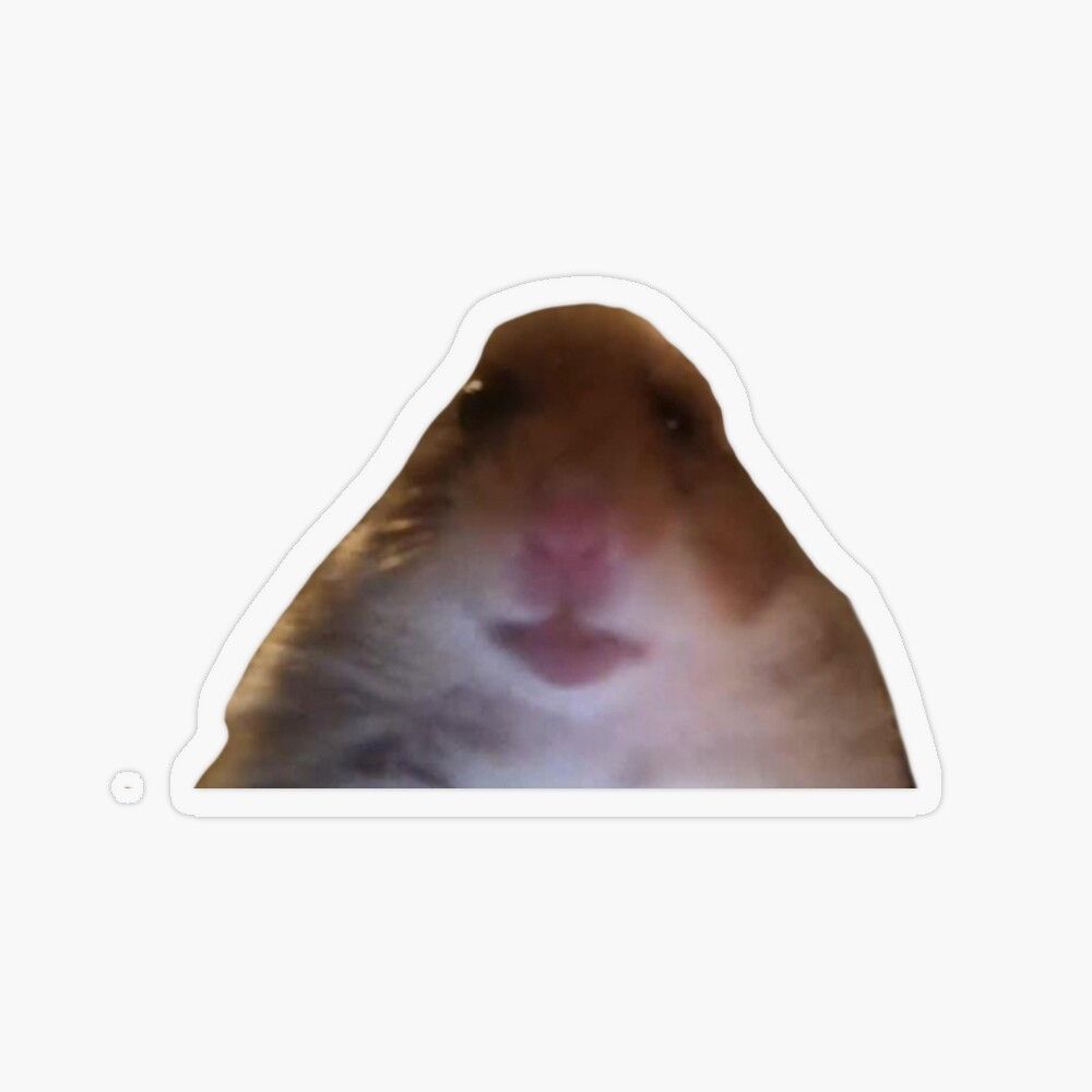 andrew lockridge share hamster on facetime photos