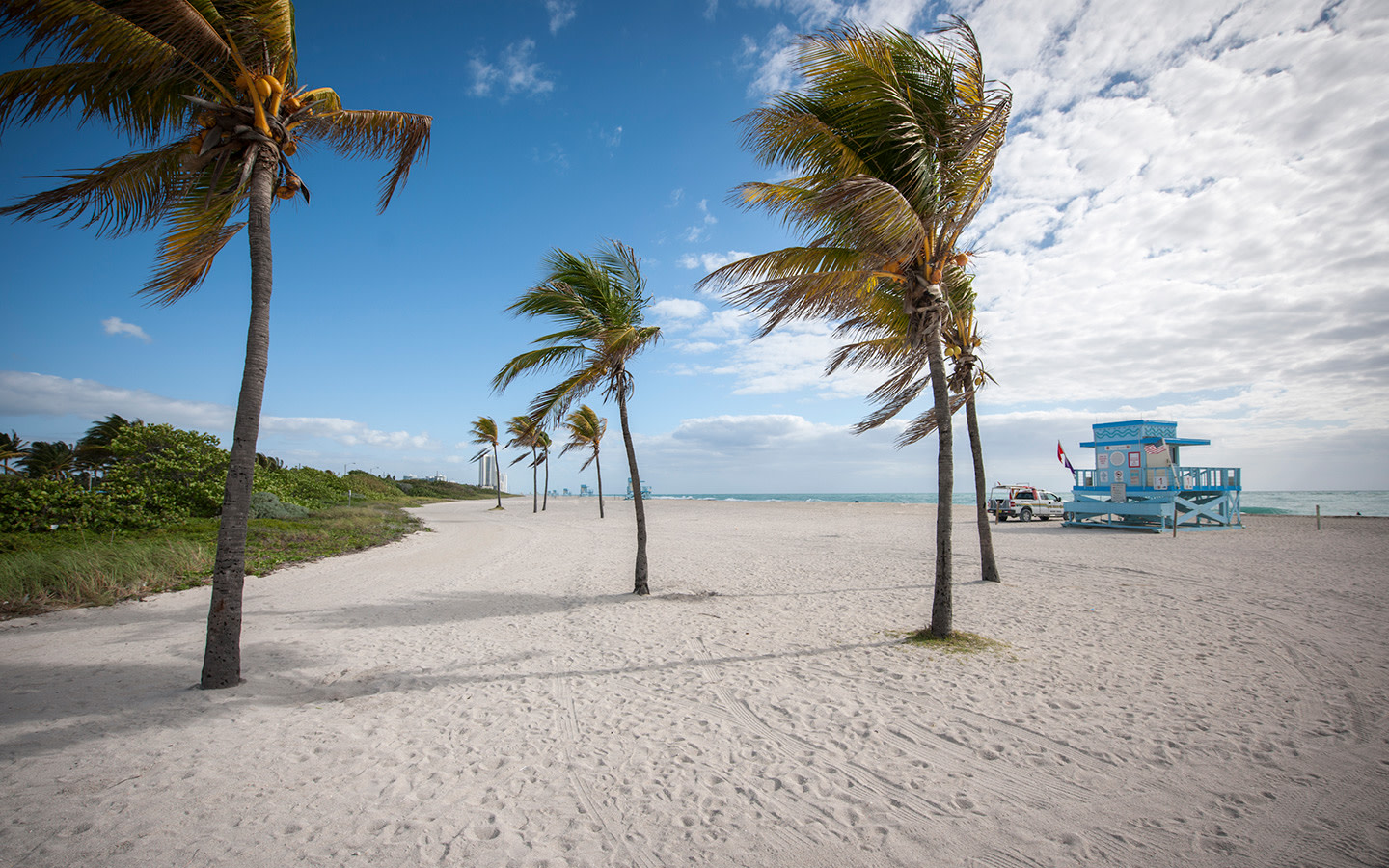 desiree bauer recommends Haulover Beach Pictures