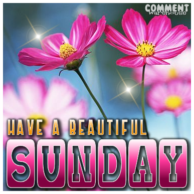 diana dorn recommends have a beautiful sunday pictures pic