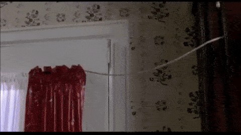 Best of Home alone paint can gif