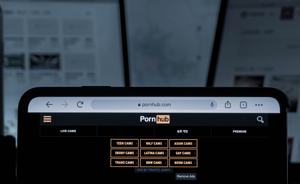 deen sam recommends how to delete porn hub account pic