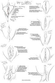 How To Draw Mangá Pussy sex frre