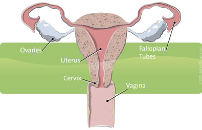 cosmin esc recommends how to know if your cherry popped pic