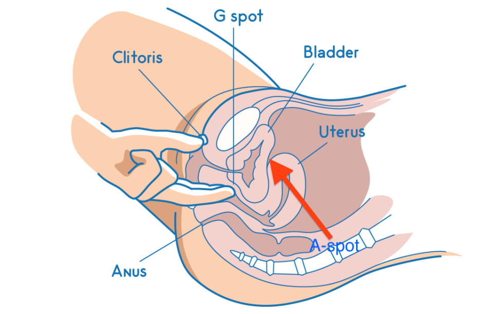 aaron claydon recommends How To Make Self Squirt