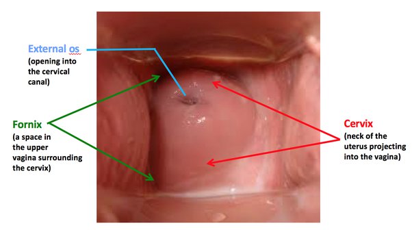 arthur penney recommends how to properly finger yourself for the first time pic