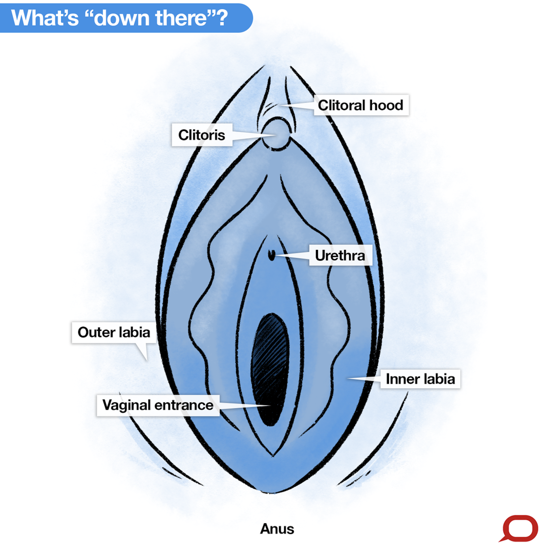 chudary usman iqbal recommends how to take a good picture of your vag pic