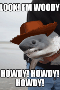 dennis kilner recommends Howdy Howdy Howdy Gif