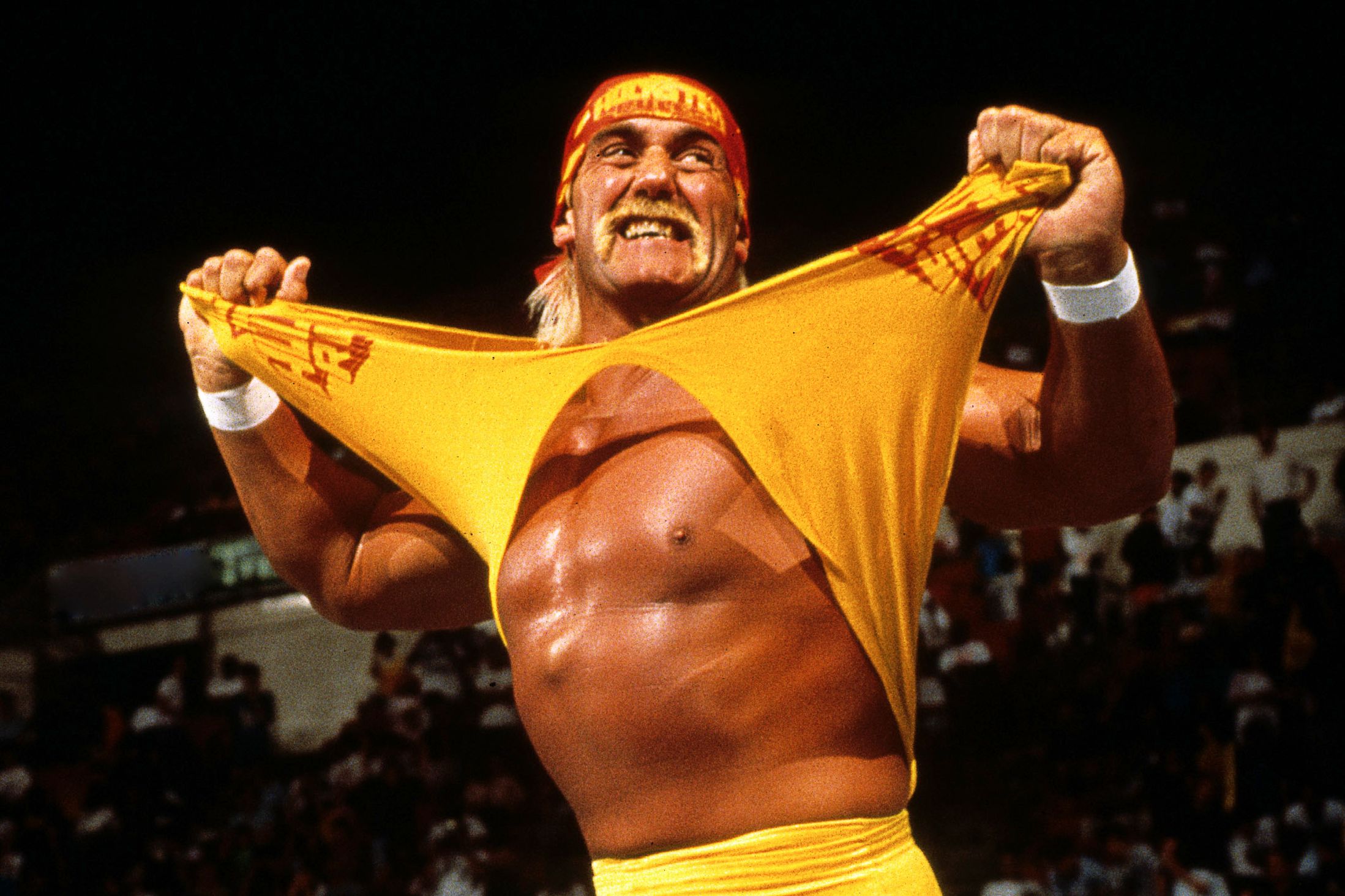 hulk hogan porn film