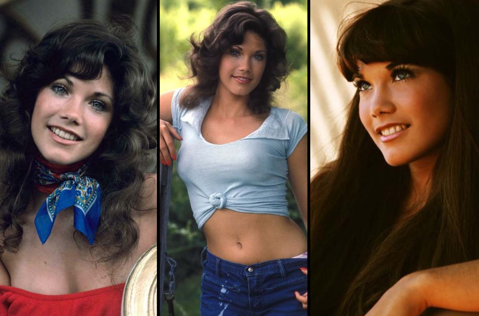 christian angelo lim recommends is barbi benton still alive pic