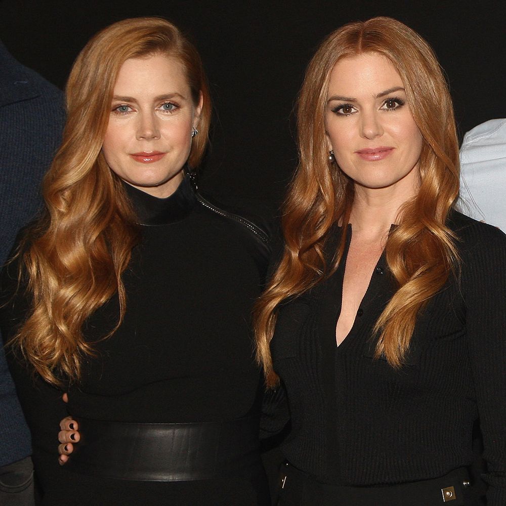 donna hannam recommends jenna fischer and amy adams pic