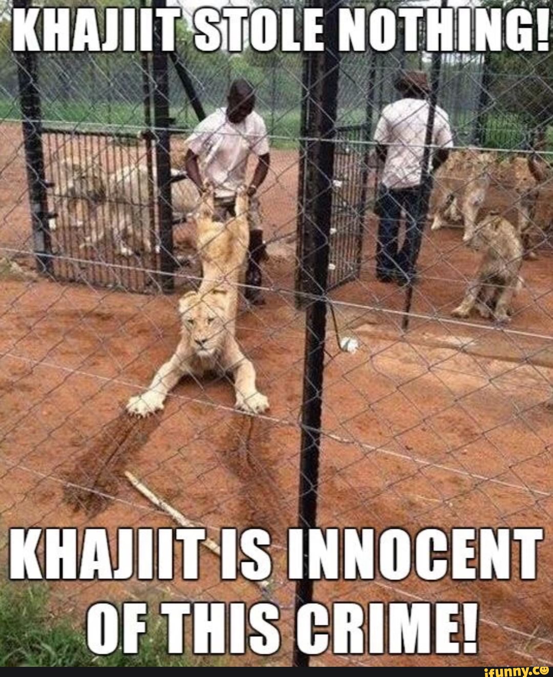 asad dullah share khajiit is innocent photos