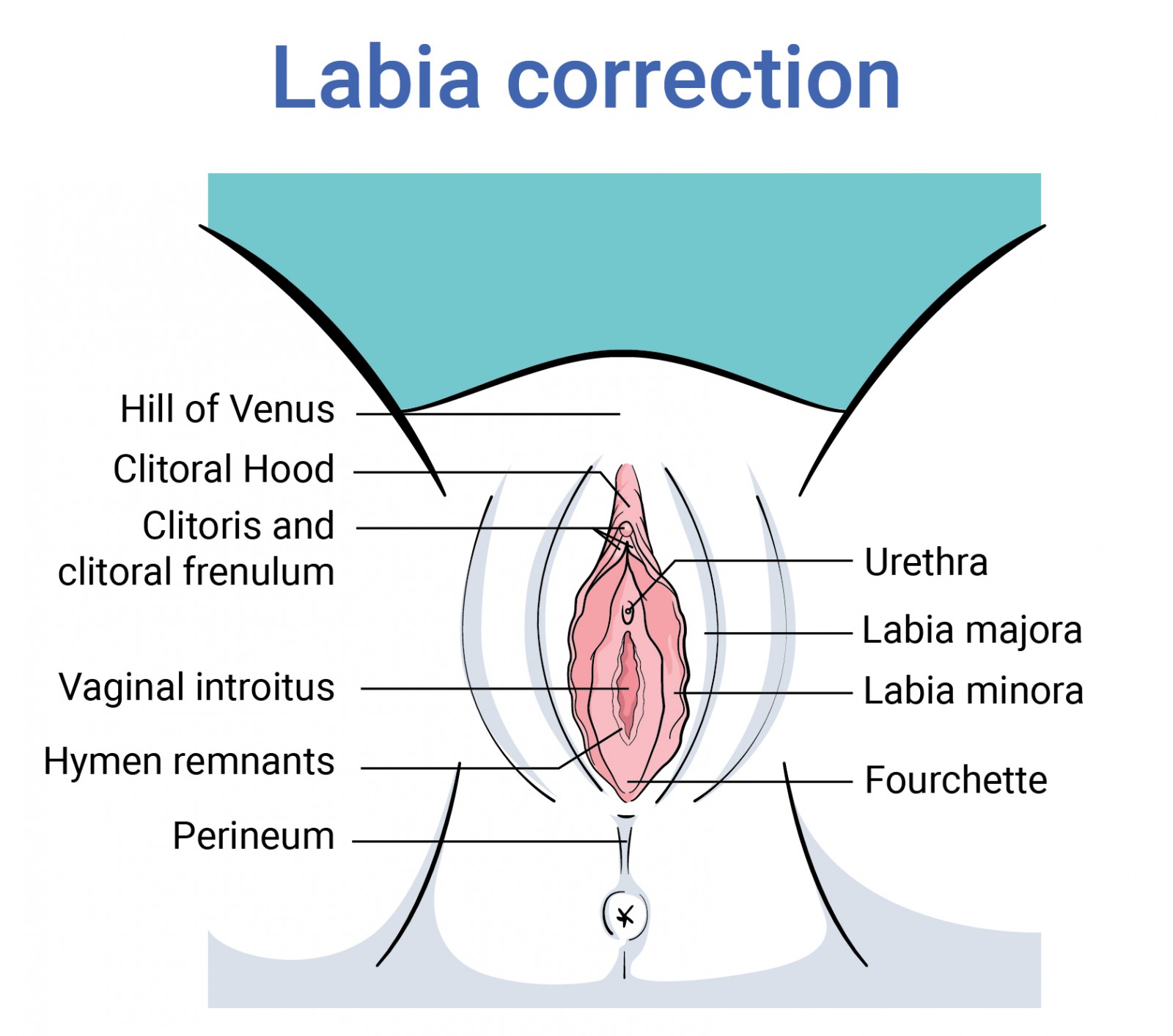 deni abdullah recommends large labia from behind pic