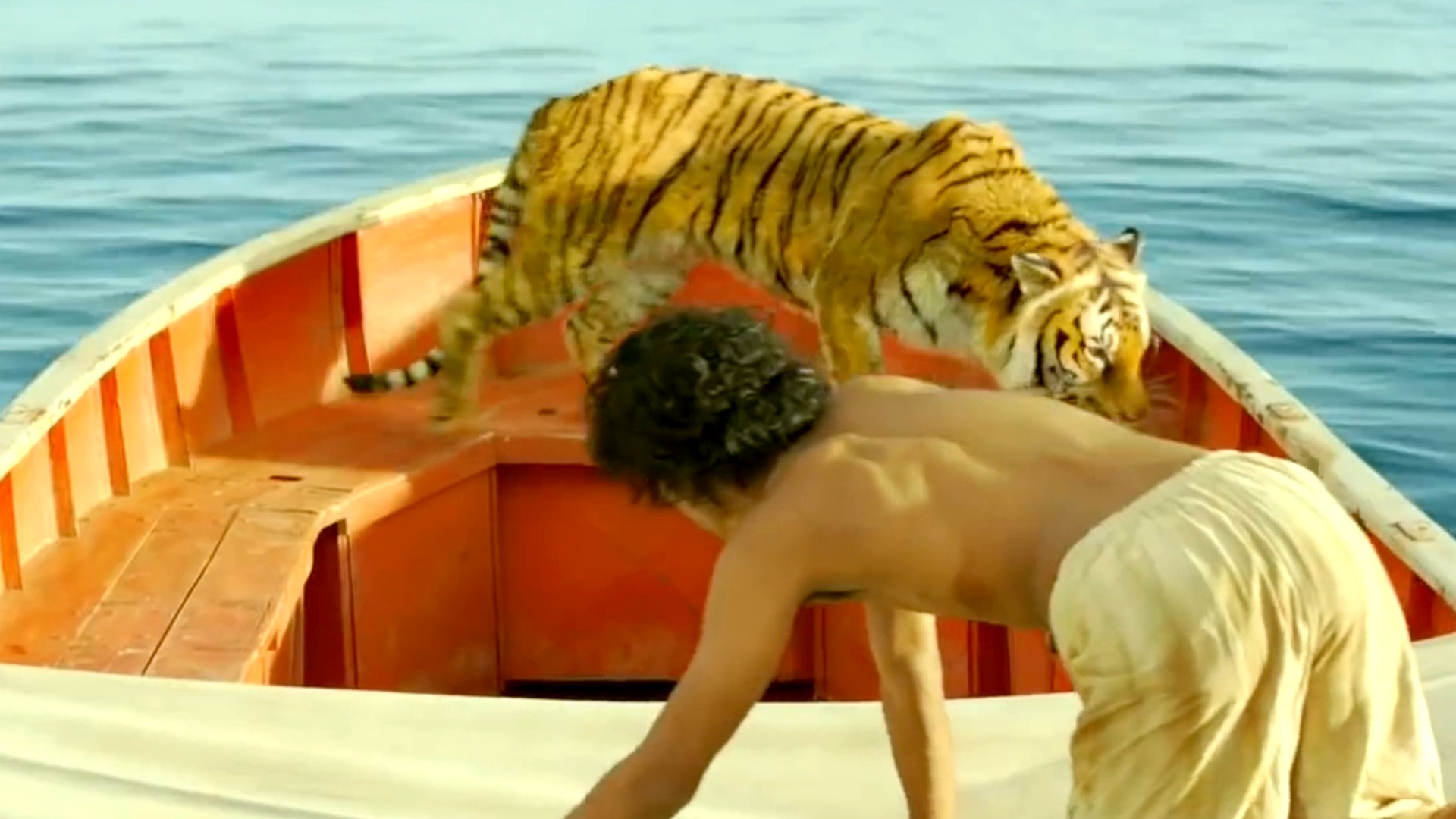 bernadette chapman recommends Life Of Pi Full Movie Download