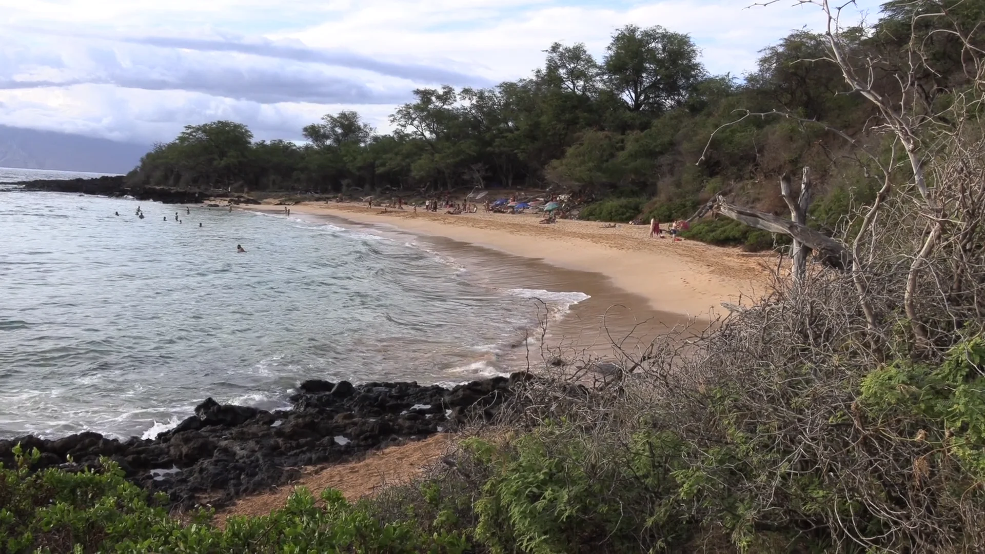 Little Beach Maui Photos albany oregon